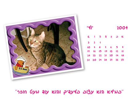 עיצוב לוח שנה - לוח השנה האישי של מיכל